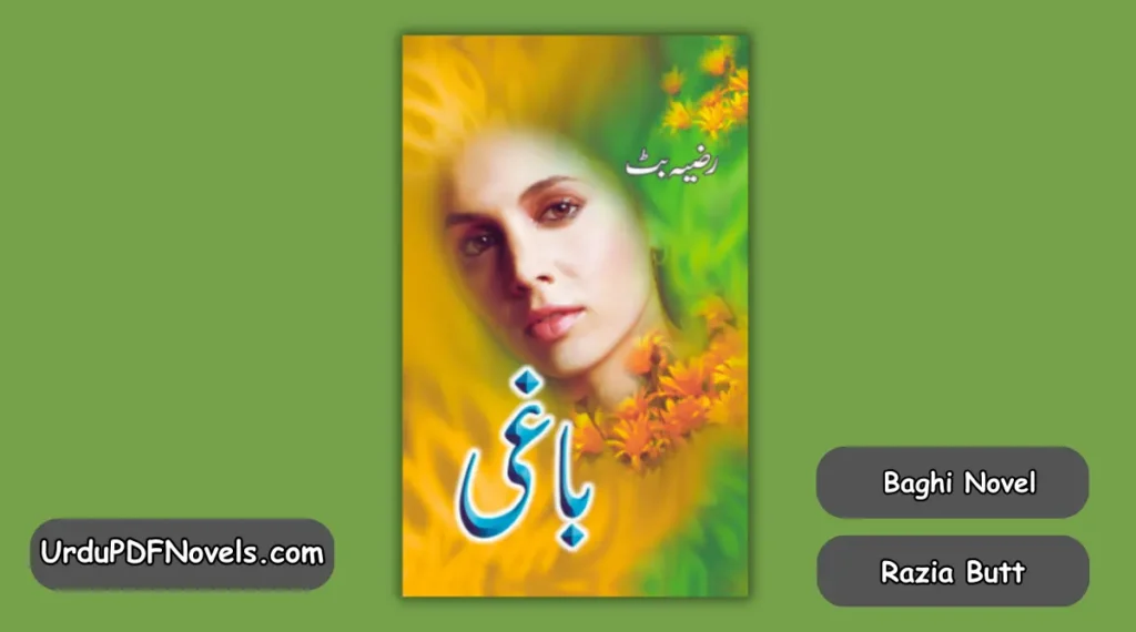 Baghi Novel
