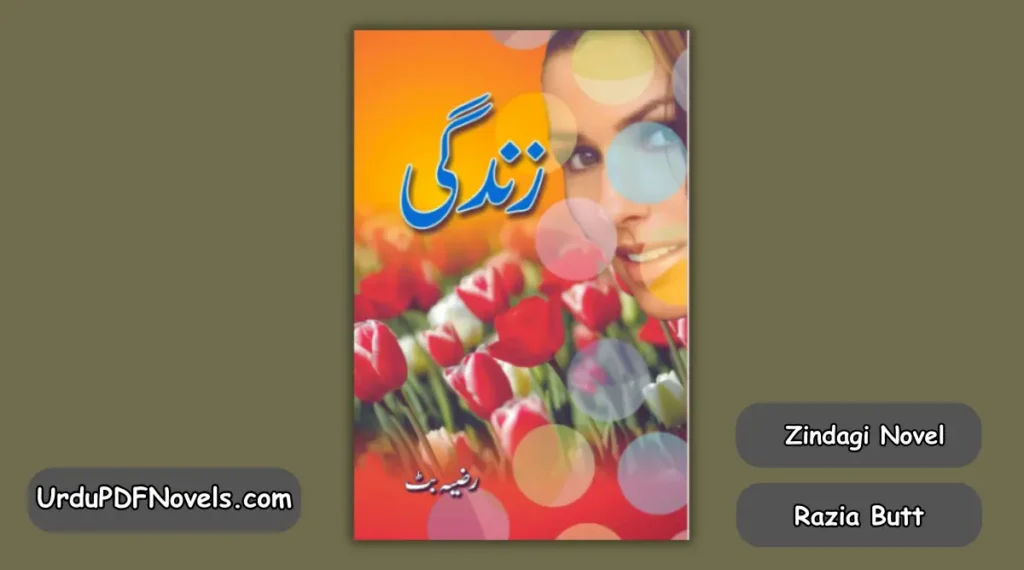 Zindagi Novel