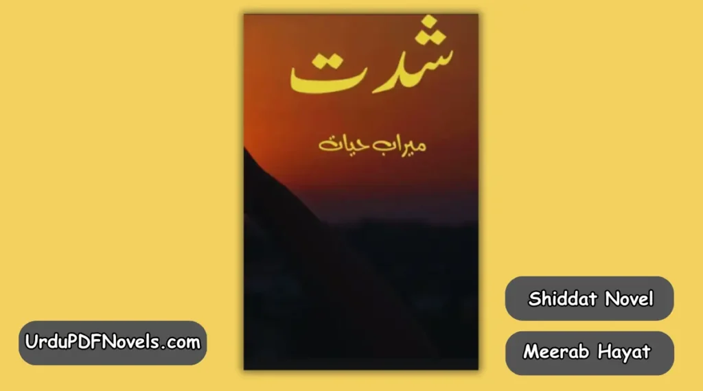Shiddat Novel By Meerab Hayat 